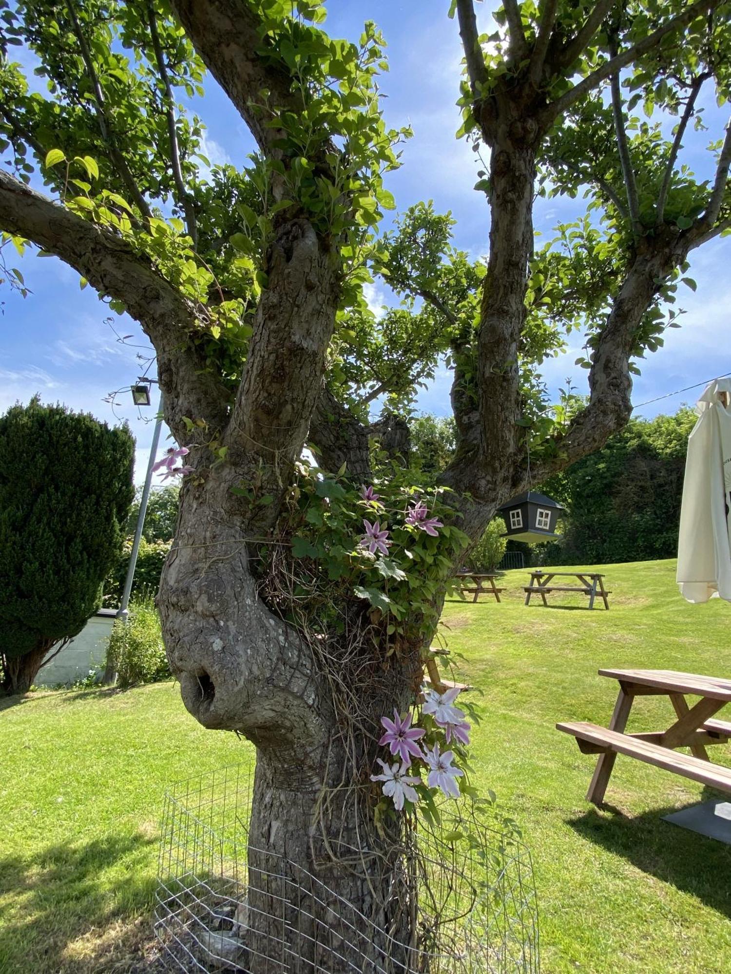 The Lydden Bell Bed & Breakfast Luaran gambar
