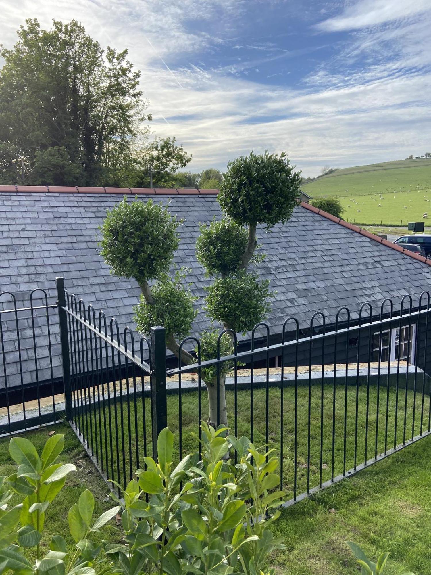 The Lydden Bell Bed & Breakfast Luaran gambar